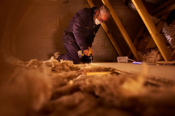 Best Eco-Friendly Insulation in Sea Breeze, NC